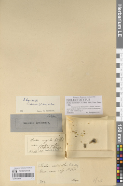 LE 01220705