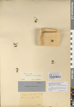 LE 01220706