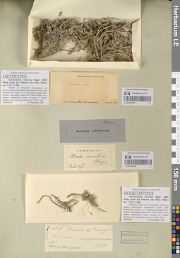 LE 01220709