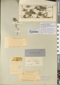 LE 01220710