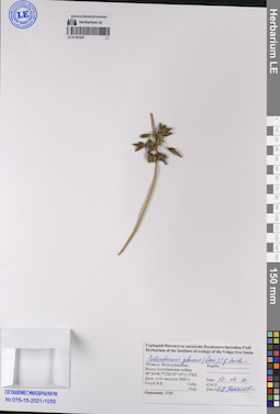 LE 01191247