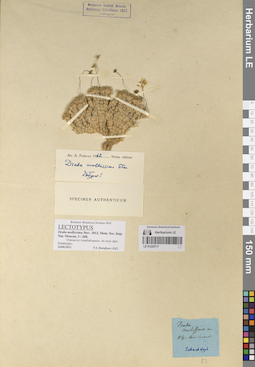 LE 01220717