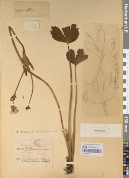 LE 01220247