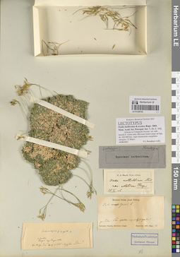 LE 01220722