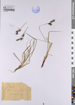 LE 01200373