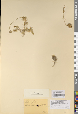 LE 01220728