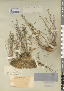 LE 01220731