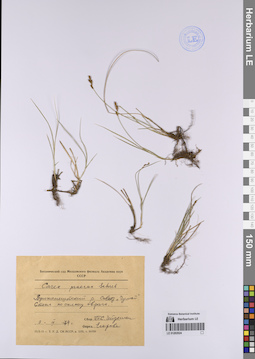LE 01202024