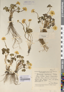 LE 01220260
