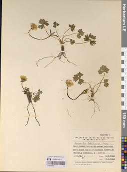 LE 01220262