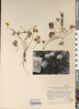 LE 01220265
