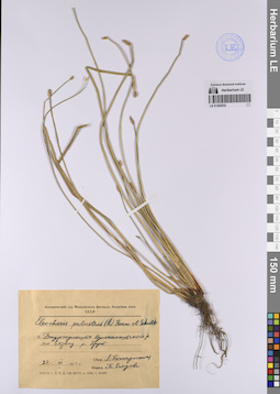 LE 01202032