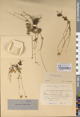 LE 01220270