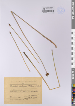 LE 01202036