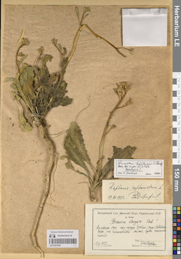 LE 01221056