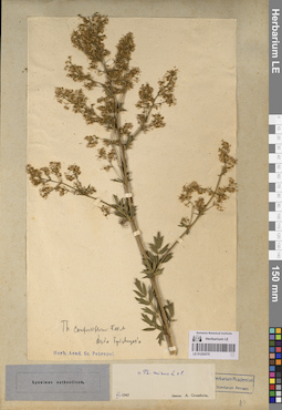 LE 01220275