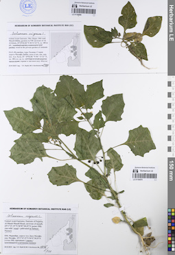 LE 01194869