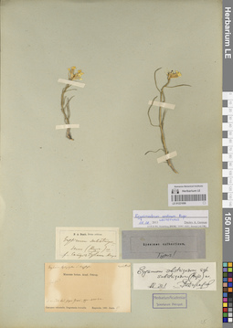 LE 01221058