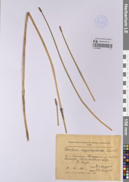 LE 01202433