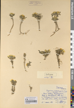 LE 01221067