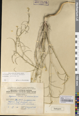 LE 01221070