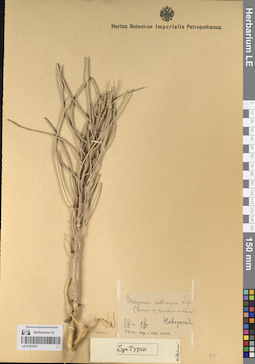 LE 01221073