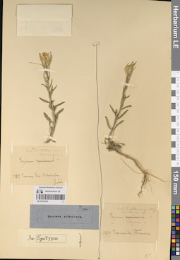 LE 01221074