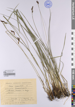 LE 01138889