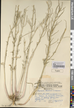 LE 01221083