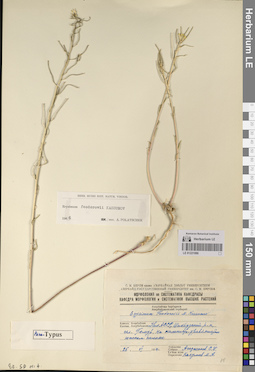 LE 01221086