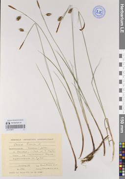 LE 01139011