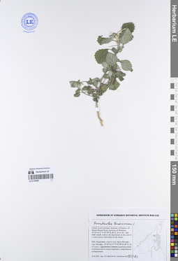 LE 01194896