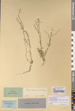 LE 01221097