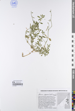 LE 01194913