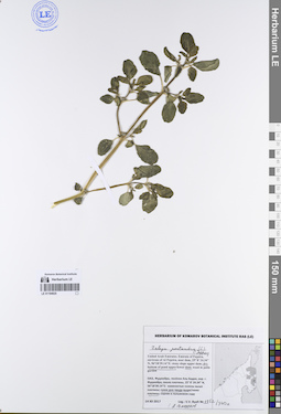 LE 01194925