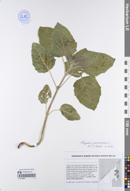 LE 01194969