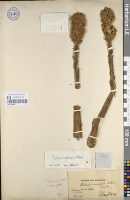 LE 01249030