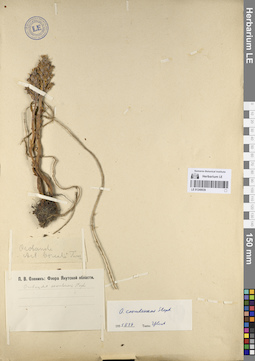 LE 01249039