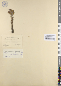 LE 01249041