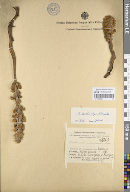LE 01249062