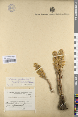 LE 01249063