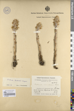 LE 01249069
