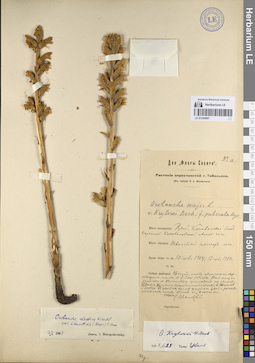 LE 01249087