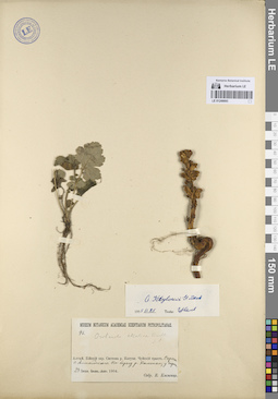 LE 01249093