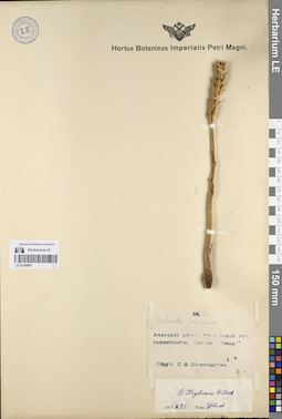 LE 01249097