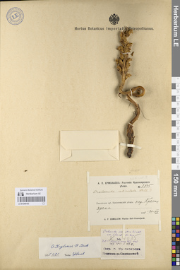 LE 01249103