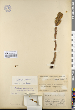 LE 01249107