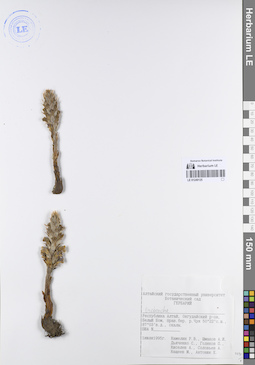 LE 01249125