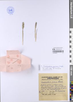 LE 01249155