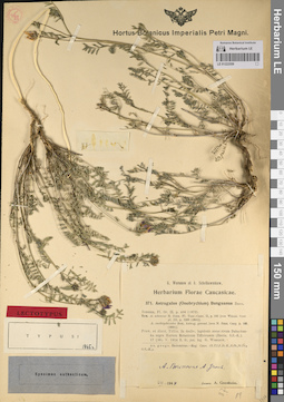 LE 01222559